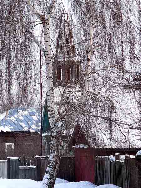 Елатьма. Покровская церковь. Фото Е.А.Пагирева