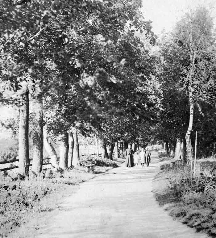 Елатьма. Аллея в городском саду вдоль улицы Соборной. Фото конца XIX - начала XX века.