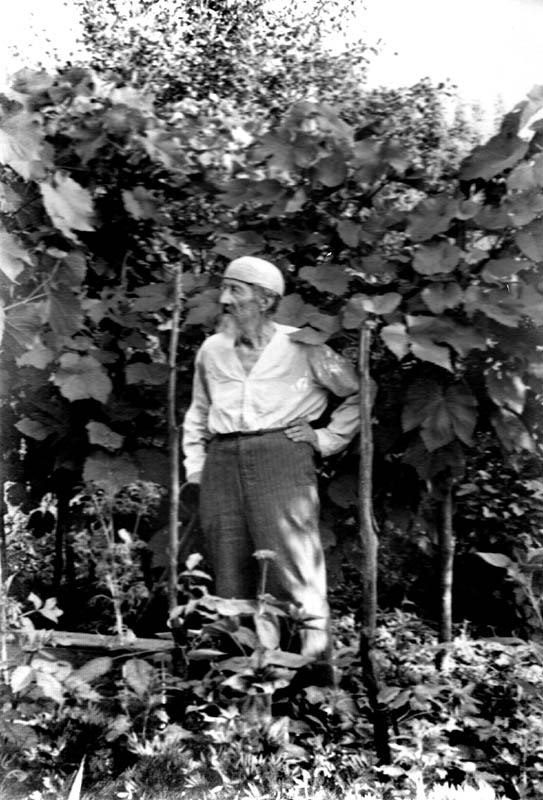 А.C.Суворов в своем саду. Елатьма, 1955 г.